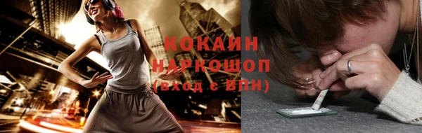 шишки Абаза
