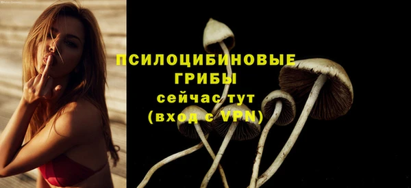бошки Абинск