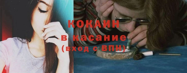 шишки Абаза