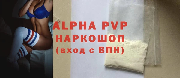 соль ск Новозыбков