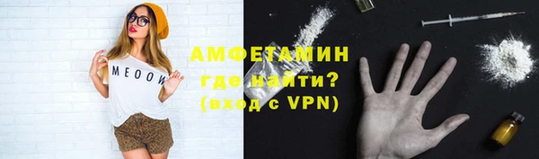шишки Абаза