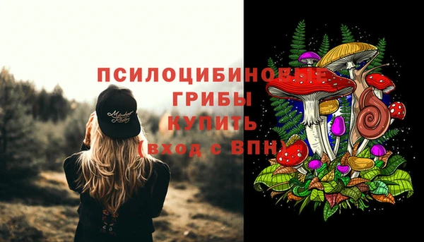 бошки Абинск
