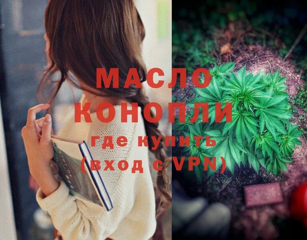 шишки Абаза
