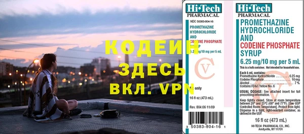 шишки Абаза