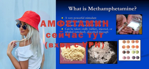 шишки Абаза