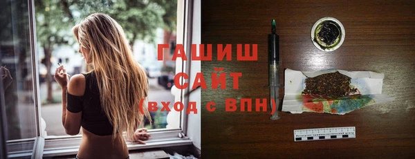 шишки Абаза