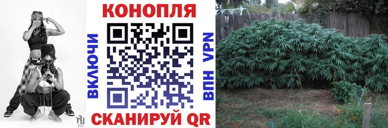 купить закладку  blacksprut ссылки  Бошки марихуана Ganja  Алушта 